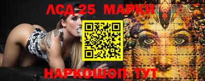 крисы Вязьма
