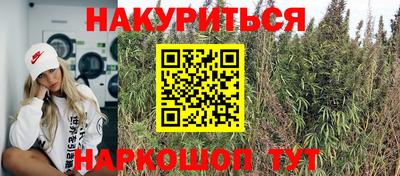крисы Вязьма