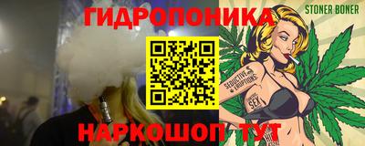 крисы Вязьма