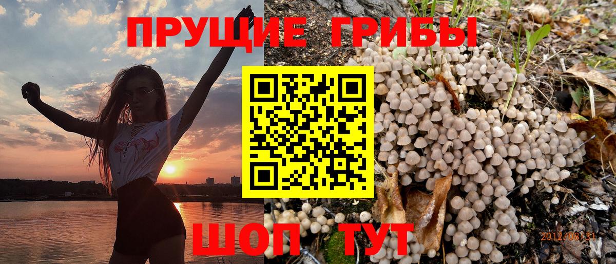 Псилоцибиновые грибы Magic Shrooms Будённовск