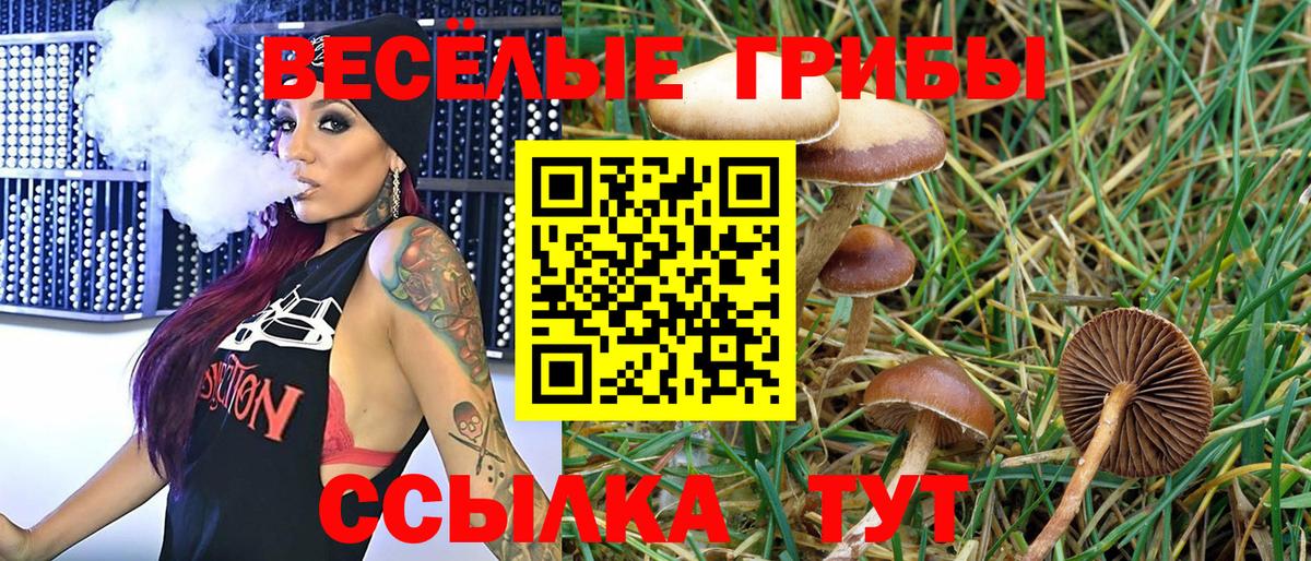 Галлюциногенные грибы GOLDEN TEACHER  наркота  Будённовск  Вход с VPN  Псилоцибиновые грибы GOLDEN TEACHER 